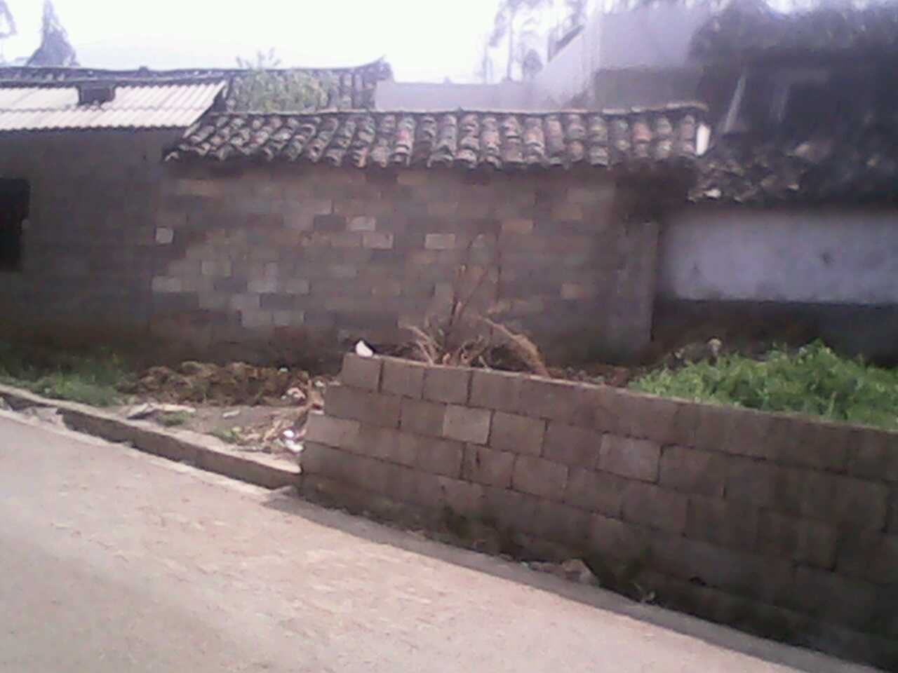阿白村 阿白村