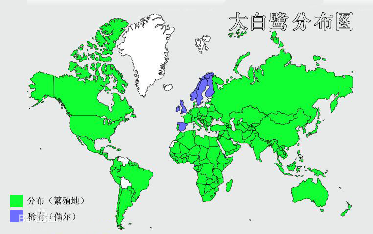 大白鹭分布图 大白鹭分布图