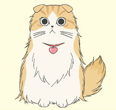 甜甜私房猫