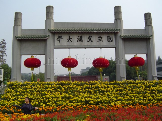 武汉大学