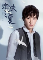 泡沫之夏(2018年于中中执导电视剧)