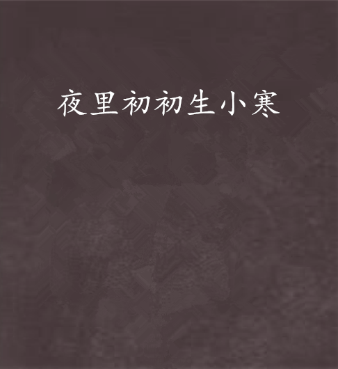 夜里初初生小寒