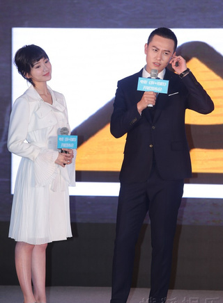张维娜(张娜（湖北籍女演员）)
