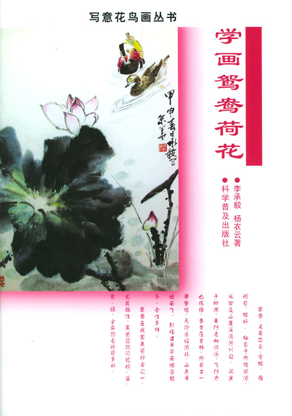 学画鸳鸯荷花