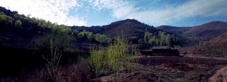 寒葱顶山东丰县沙河镇境内地貌