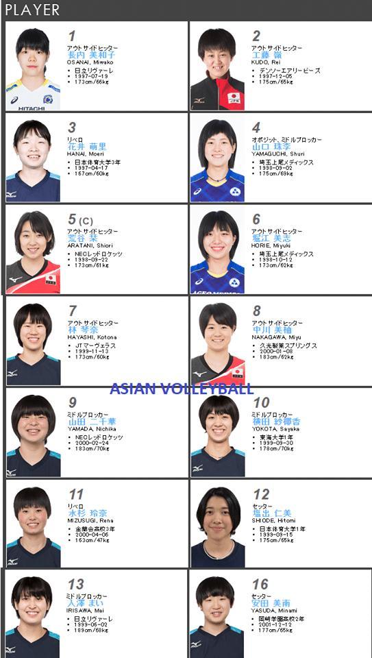 日本女排1 日本女排1