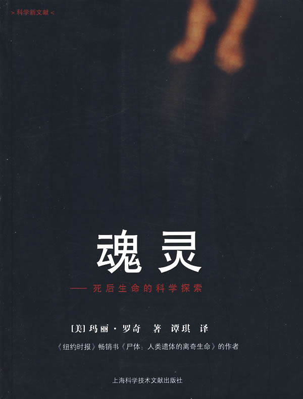 魂灵:死后生命的科学探索 魂灵:死后生命的科学探索