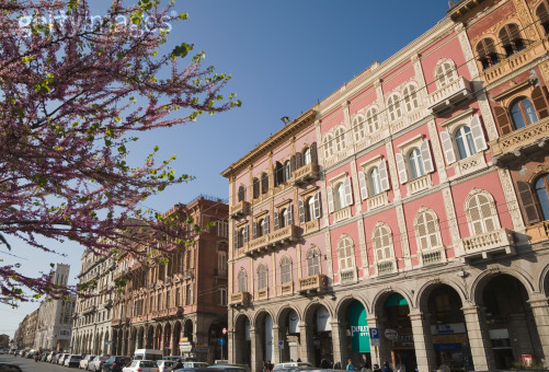 当地的建筑 当地的建筑