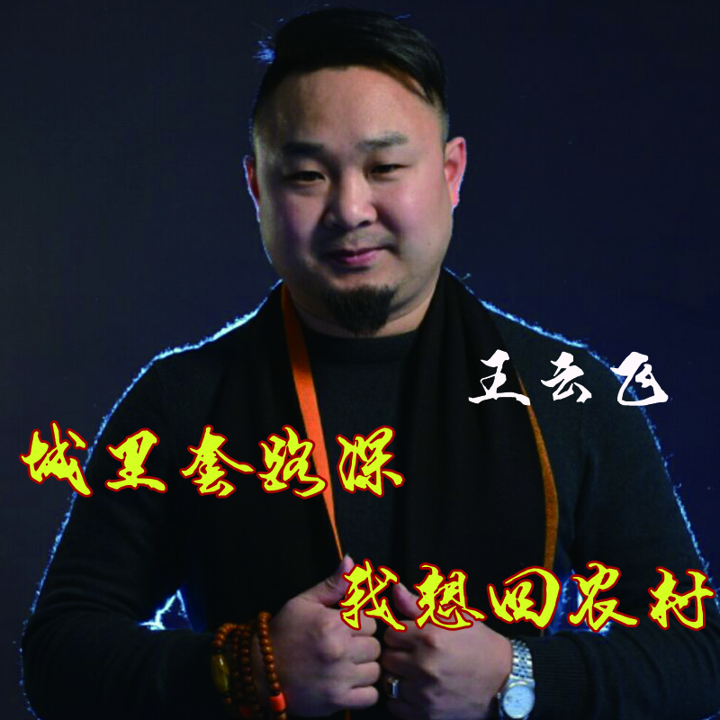 城里套路深我想回农村(王云飞演唱歌曲)