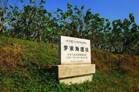 良渚文化罗家角遗址