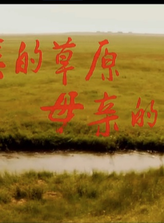 秦伯坤