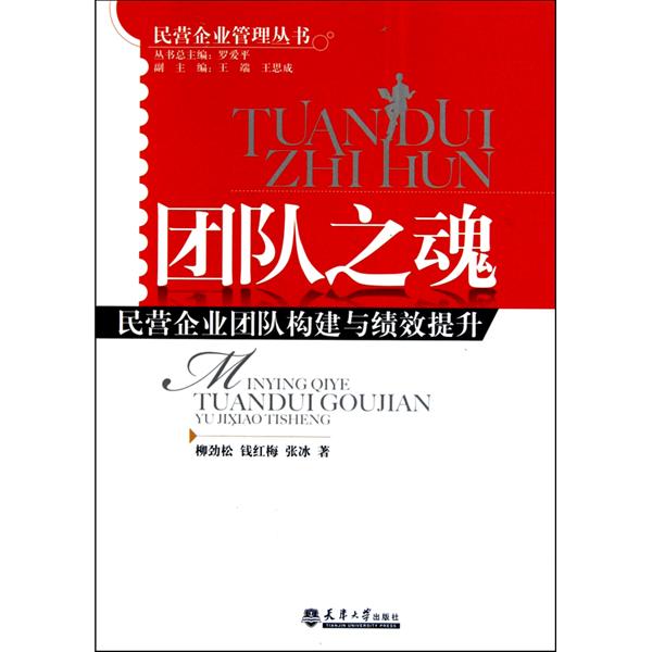 团队之魂:民营企业团队构建与绩效提升 团队之魂:民营企业团队构建与绩效提升