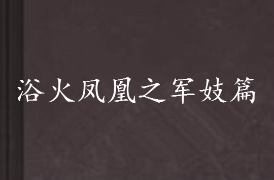 浴火凤凰之军妓篇 浴火凤凰之军妓篇