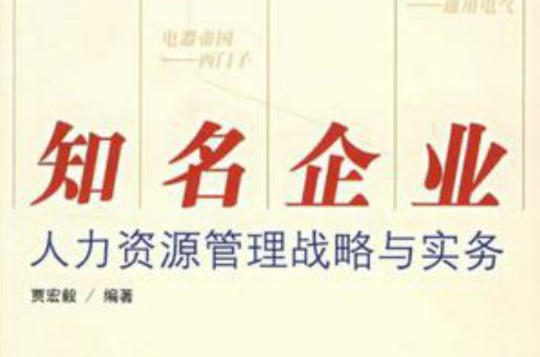 知名企业人力资源管理战略与实务