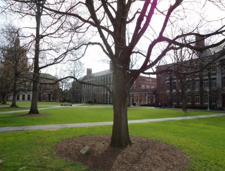 罗彻斯特学院 罗彻斯特学院