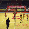 2013年全国青少年U20女排锦标赛 2013年全国青少年U20女排锦标赛