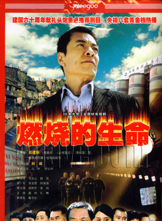赵冉(中国内地女演员)