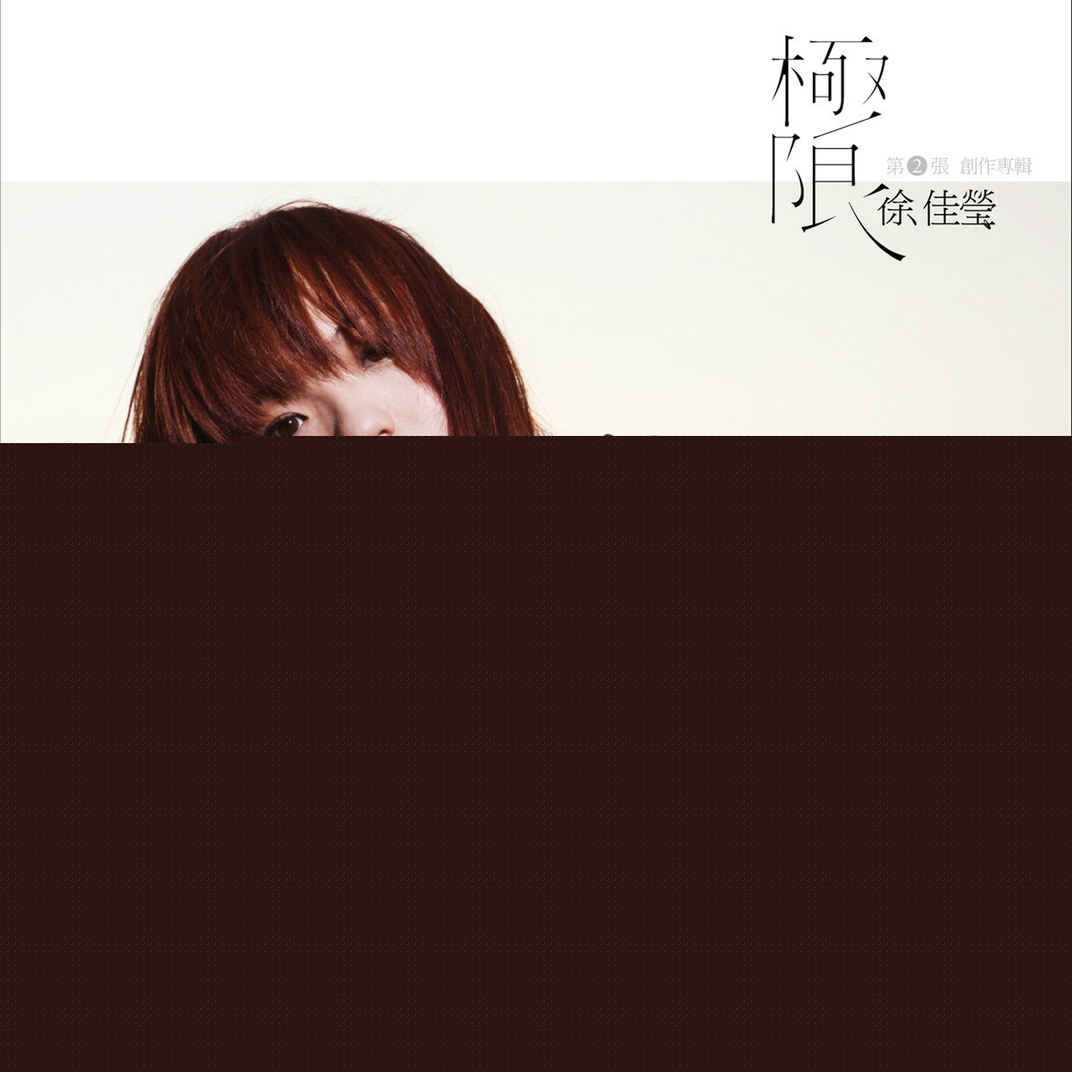 极限(徐佳莹2010年发行的专辑)