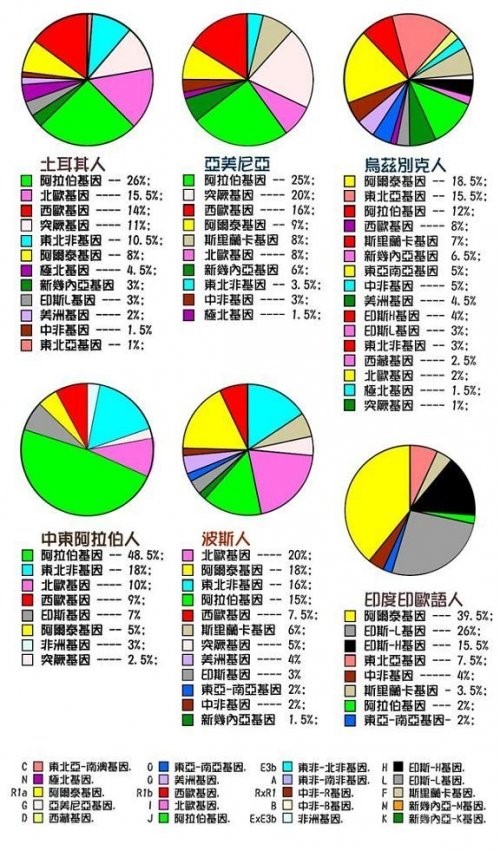 世界人种基因图谱 世界人种基因图谱