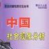 中国社会现象分析