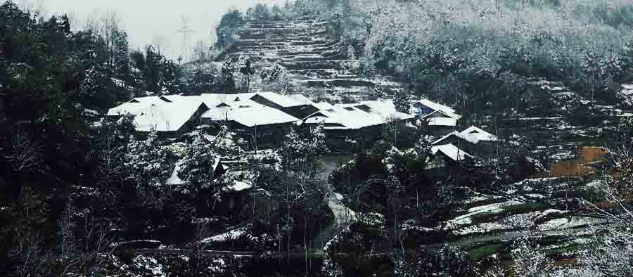 四时之景之冬雪瑞 四时之景之冬雪瑞