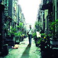 不想回家(2005年李路执导电视剧)