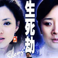 生死劫(2006年付小健执导的电视剧)