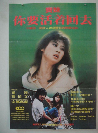 秦汉(台湾影视演员)