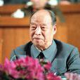 第六届全国人民代表大会常务委员会(第六届全国人大常委会)