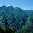井冈山主峰五指峰