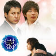 突然有一天(2006年宋善美主演韩国电视剧)