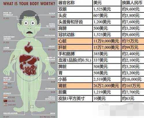 人体器官价位表 人体器官价位表