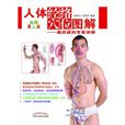 人体经络穴点阵图解 人体经络穴点阵图解