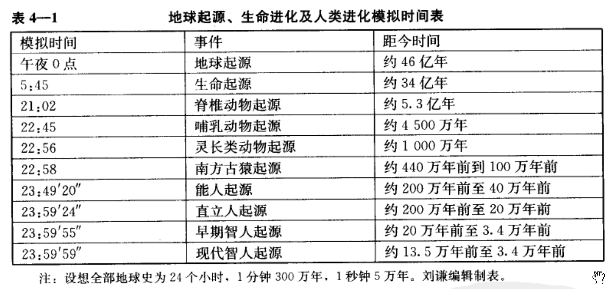 人类进化 人类进化