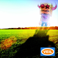 V.E.I.L乐队
