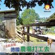WWOOFing,18岁勇闯德国农场打工去 WWOOFing,18岁勇闯德国农场打工去