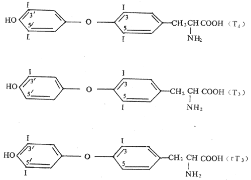 T3