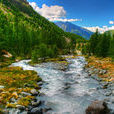 stream