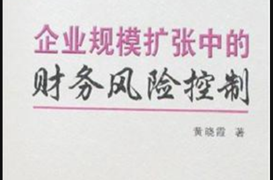 企业规模扩张中的财务风险控制
