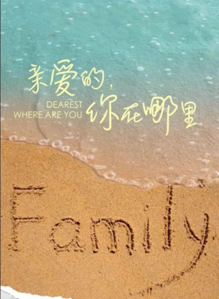秦海璐