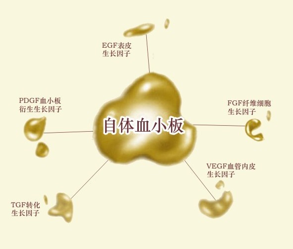 PRP自体血液焕颜术 PRP自体血液焕颜术